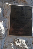 29 octobre Gethsemani